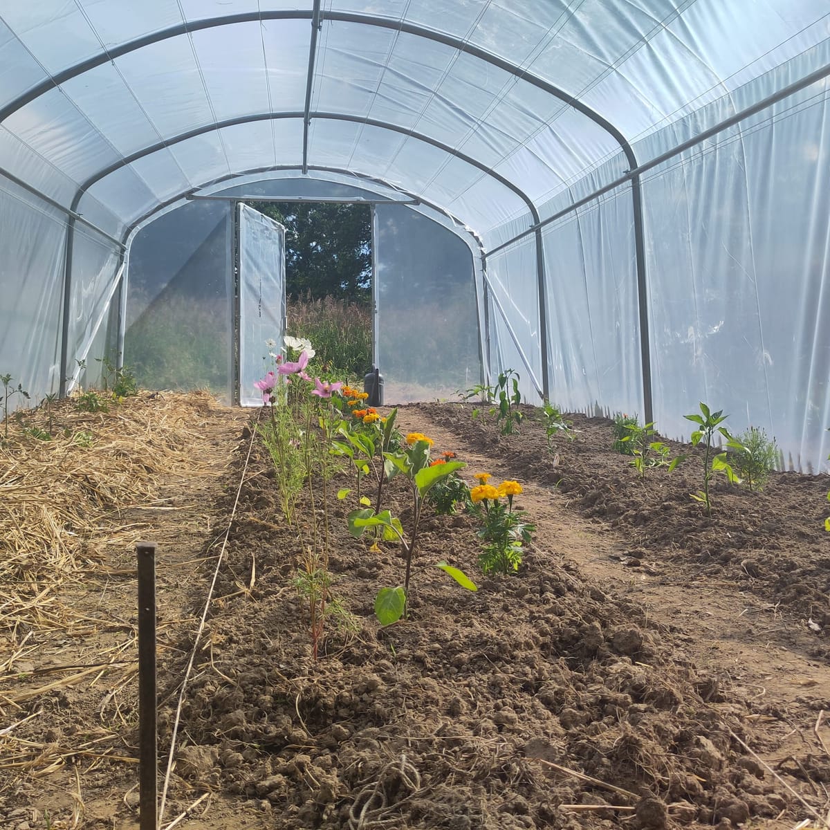 Le tunnel est ouvert