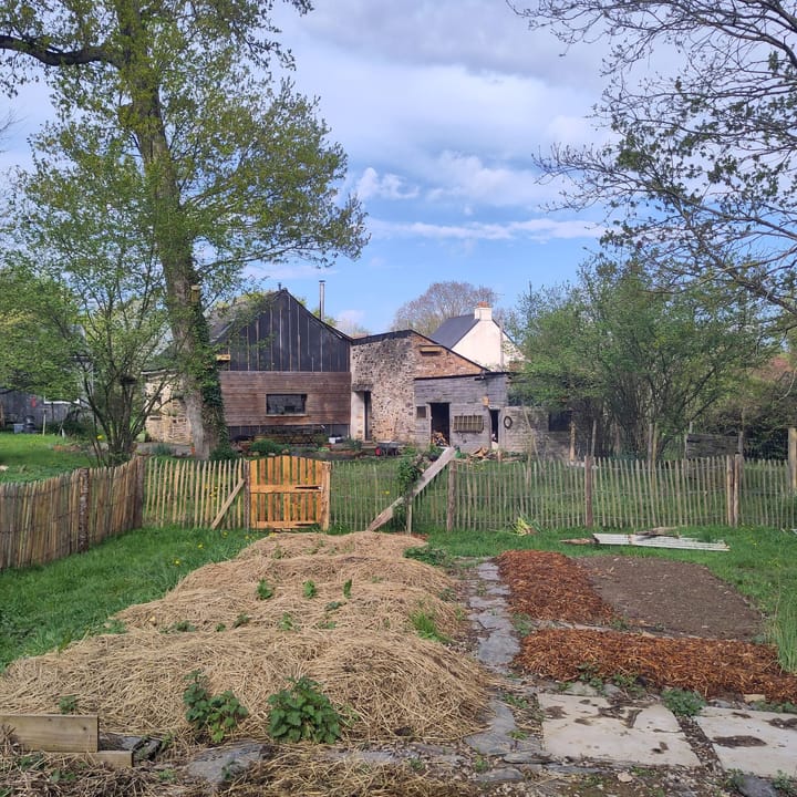 Le 1er réveil du potager